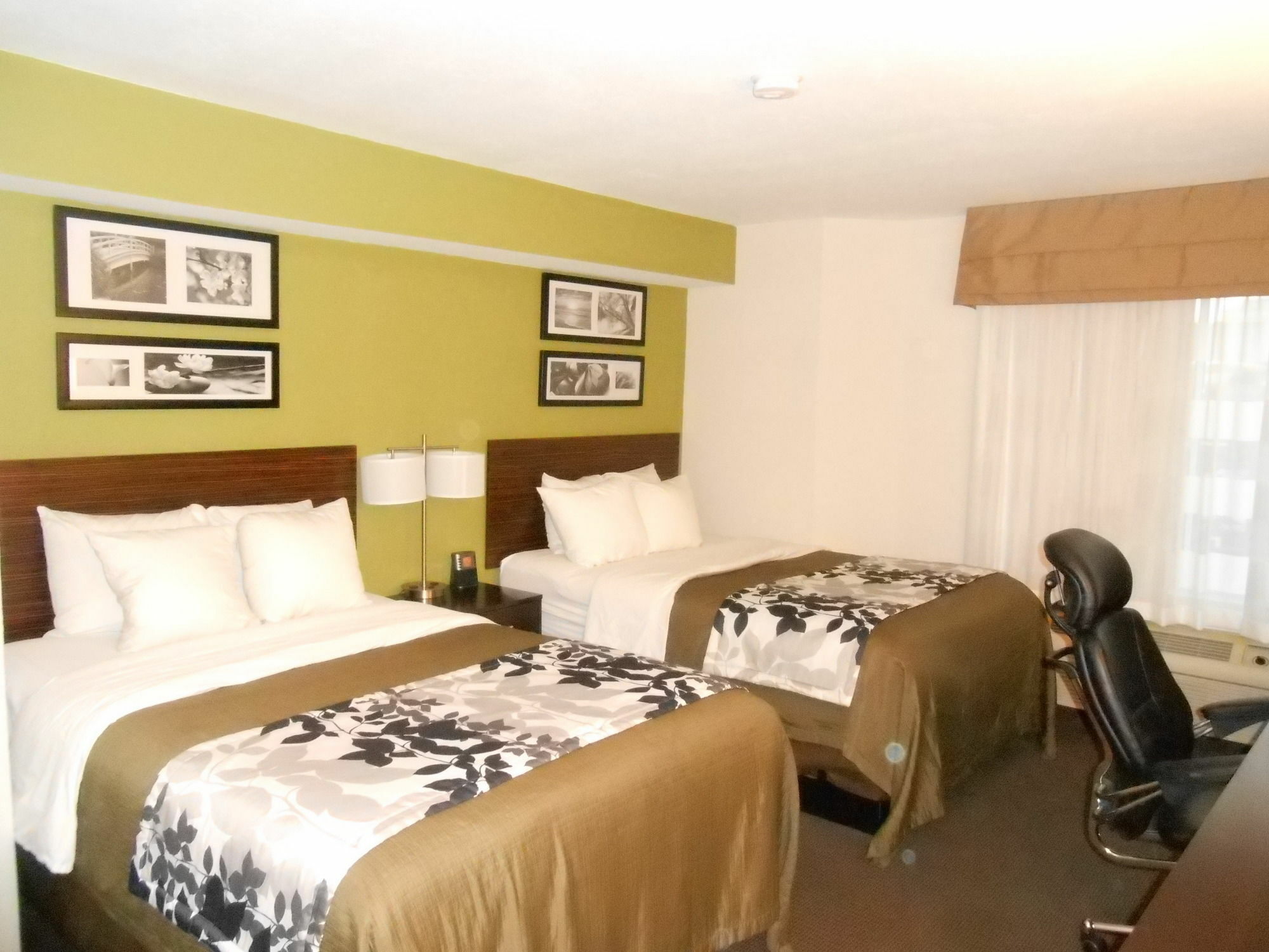 Surestay Plus By Best Western Mesa Superstition Springs Luaran gambar