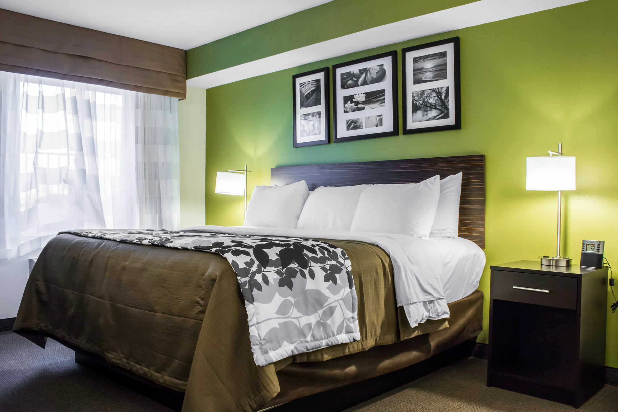 Surestay Plus By Best Western Mesa Superstition Springs Luaran gambar