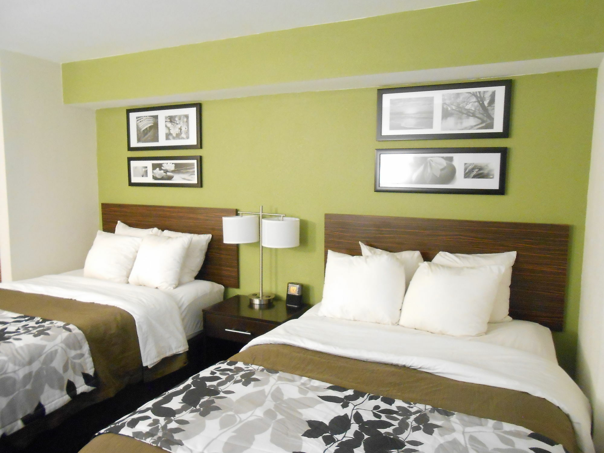 Surestay Plus By Best Western Mesa Superstition Springs Luaran gambar
